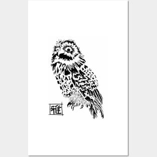 OWL Posters and Art